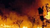 Incêndios na Amazônia são os maiores dos últimos 20 anos - Imirante.com