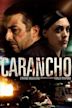 Carancho