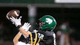 Novi's David Tyree moment helps beat Hartland in KLAA West football