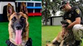 Perros policías de México son reconocidos por la Federación Canófila Mexicana