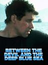 Between the Devil and the Deep Blue Sea