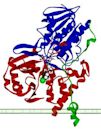 Monoamine oxidase