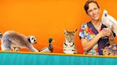 Dr K’s Exotic Animal ER Season 2 Streaming: Watch & Stream Online via Disney Plus & Hulu