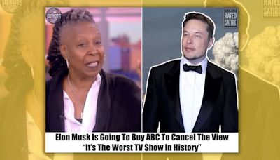 Fact Check: About the Claim that Elon Musk is Going to Buy ABC to Cancel 'The View'