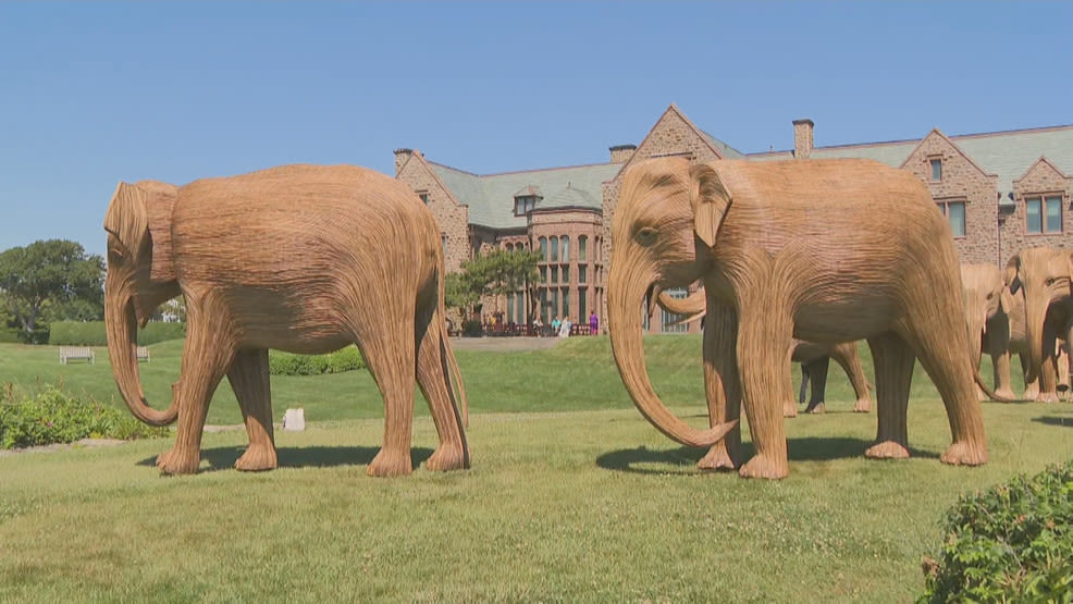 Elephants take over Newport to promote wildlife