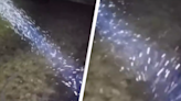 Mysterious white dust falling from the sky is sparking wild conspiracy theories