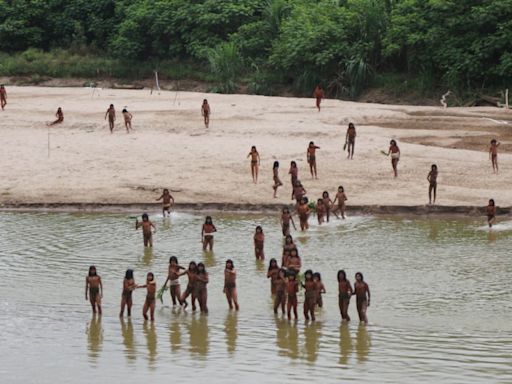 Uncontacted Amazon tribe photographed in unusual sighting near logging area