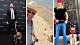 5 Adorable Celebrity Pet Dads You Just Have to See to Believe