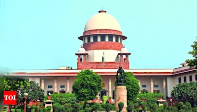 SC verdict to sub-classify SC/ST: Some MPs welcome, others question applicability | India News - Times of India