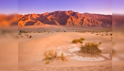 Dare to walk barefoot in Death Valley? This tourist sustained third-degree burns doing so