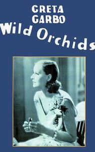 Wild Orchids (film)