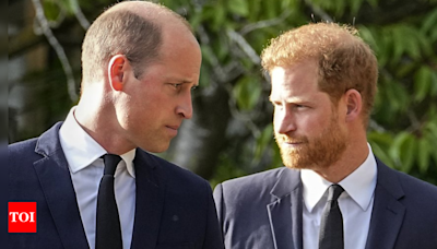 Prince Harry is like mother Diana, seeking to entertain; William always jealous: Ex-bodyguard - Times of India