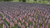 Flags for the Fallen on display at Milwaukee's Veterans Park