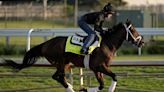 Repole busca acabar con su mala suerte; su potro Fierceness es favorito en Derby de Kentucky