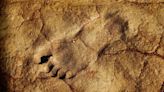 Archaeologists Found 23,000-Year-Old Footprints That Rewrite the Story of Humans in America