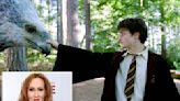 J.K. Rowling read the pilot script for HBO’s ‘Harry Potter’ TV show — here’s her reaction