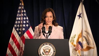 The virtual roll call to nominate Kamala Harris is underway. This is how it will work