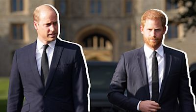 Prince William & Prince Harry's Popularity: Which Royal Is Winning Over The Public | Access