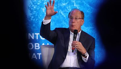 Looser regulation would allow business-led growth to relieve the 'massive' deficit burden, BlackRock chief Larry Fink says