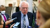 Bernie Sanders says Democrats should have the ‘guts’ to court some Trump voters