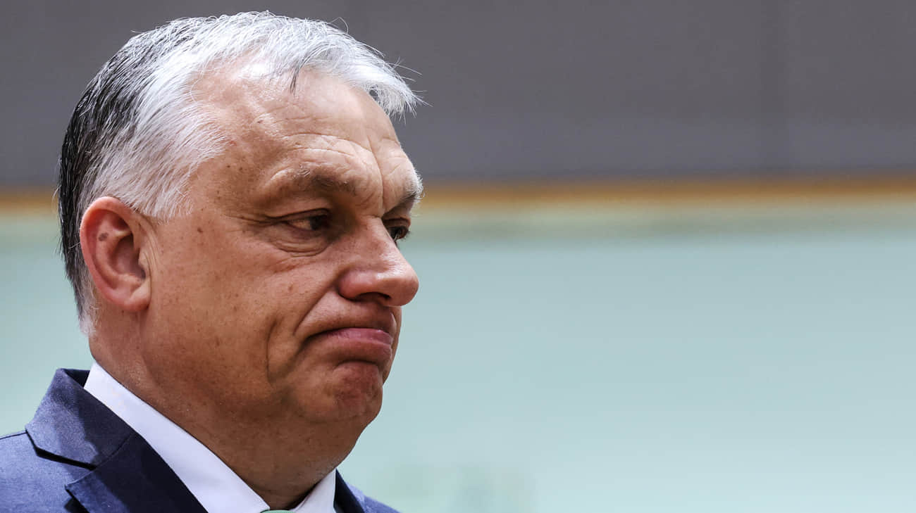 US ambassador to Hungary explains why Orbán cannot call himself "peacemaker"