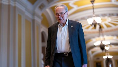 Police arrest 100 pro-Gaza protesters a block from Senate leader Chuck Schumer’s home