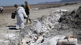 Avanza limpieza de peces muertos en la laguna de Chihuahua