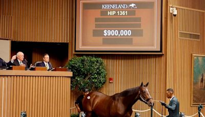 $900,000 Practical Joke Colt Leads The Way As Keeneland September Resumes With Book 3