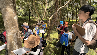 玉山國家公園「生態觀察與自然藝術課」報名開跑 創造暑假難忘回憶 | 蕃新聞