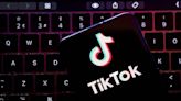 TikTok in talks with Indonesian e-commerce firms about partnerships -minister