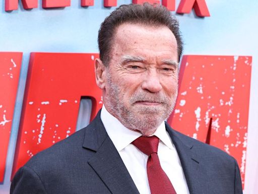Arnold Schwarzenegger Allegedly Asked Tabloid Exec to Bury Negative Stories About Him Ahead of Governor Race