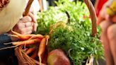 Applications for farmers market vouchers available in Dauphin County seniors
