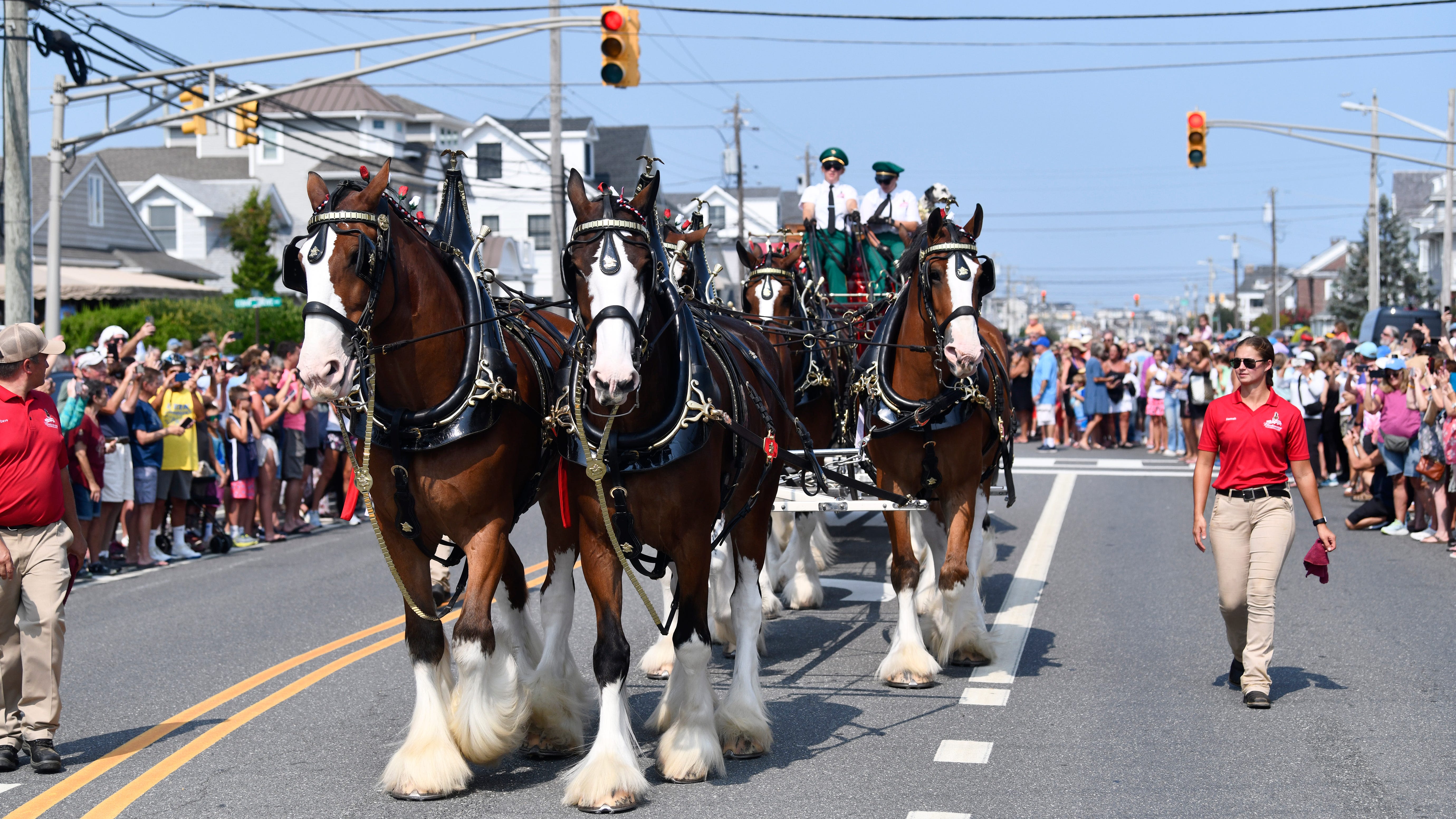 Looking for fall festivals? Here's what South Jersey offers