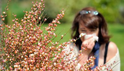 Map shows where spring allergies are most severe