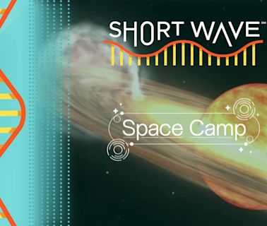 Some stars explode as they die. We look at their life cycle : Short Wave