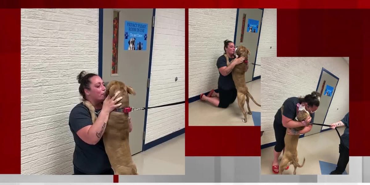 Dog missing for 2 years jumps all over owner during their heartwarming reunion