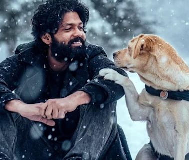 Rakshit Shetty beams with pride as he meets pups of the 777 Charlie dog ; fans ask for sequel. Watch