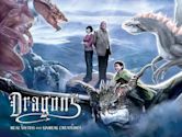 Dragons 3D