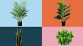 11 Fake Plants from Amazon That Guests Will Think Are Real — Starting at $12