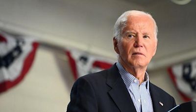 Biden interview fails to quell Democrat concerns over fitness