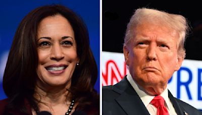 People Are Sharing Whether They Would Vote For Kamala Harris Or Donald Trump, And Some Of These Answers Surprised Me