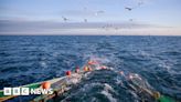 Newhaven: Fish processing plant ready to open in Newhaven