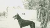 The Monday After: Dog fighters of World War II