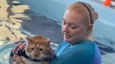 30-pound cat nicknamed ‘Thicken Nugget’ is swimming his way to his goal weight after being surrendered