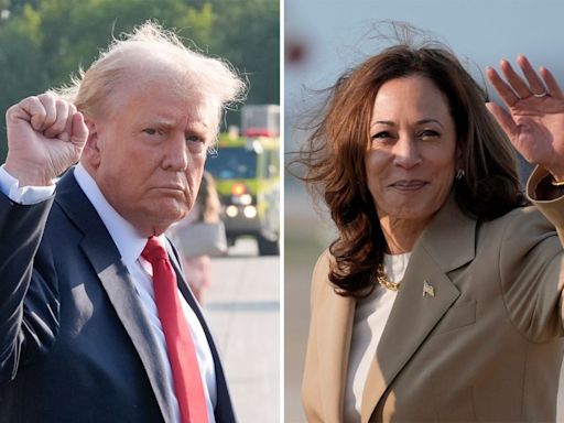 Donald Trump y Kamala Harris se atacaron mutuamente en sus respectivas campañas electorales este sábado. Esto es lo que dijeron