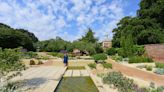 Yorkshire stately homes gets Mediterranean garden to cope with changing climate