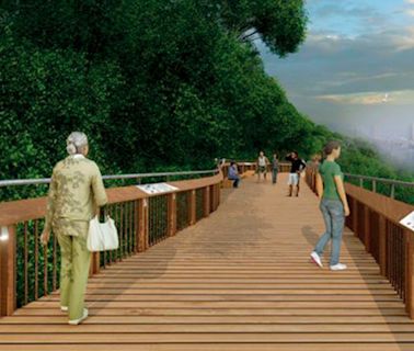 ‘At least 80 per cent of the work for South Mumbai forest walk is done’