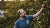 Behind the brand: Sandford Orchards, top UK cider producer