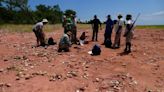 Prehistoric Puzzle Piece: Scientists Discover New Species of Dinosaur in Zimbabwe