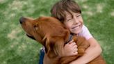 The Top 20 Dog Breeds for Families With Kids